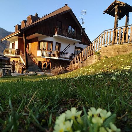 Bed and Breakfast La Rocca Bianca Demonte Zewnętrze zdjęcie