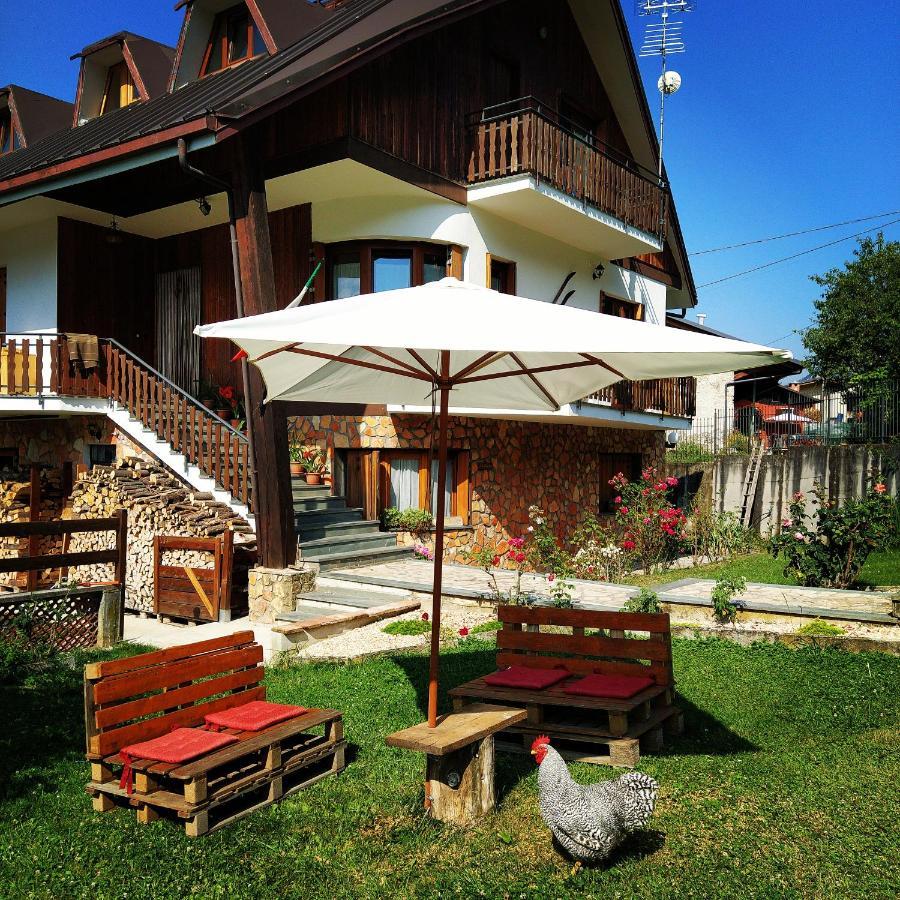 Bed and Breakfast La Rocca Bianca Demonte Zewnętrze zdjęcie