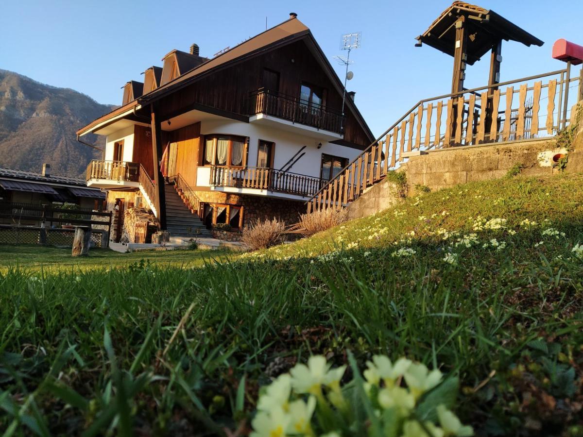 Bed and Breakfast La Rocca Bianca Demonte Zewnętrze zdjęcie