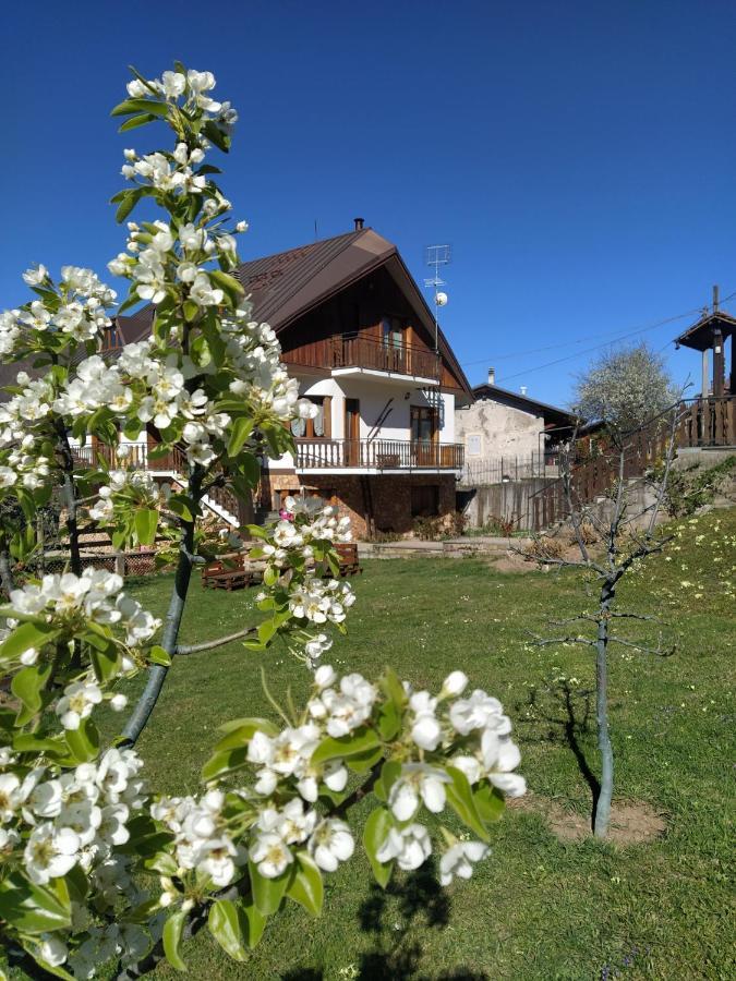 Bed and Breakfast La Rocca Bianca Demonte Zewnętrze zdjęcie